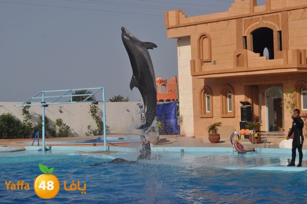 re7latsharmn422 (72).jpg